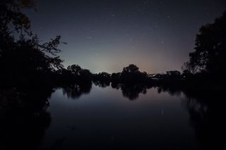 水体附近树木的轮廓