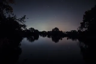 水体附近树木的轮廓