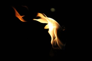 选择性、聚焦摄影、火、火焰、火炬、夜晚、燃烧、炎热
