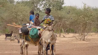 交通，出逃，家庭，行李，超载，游牧，交通，旅行