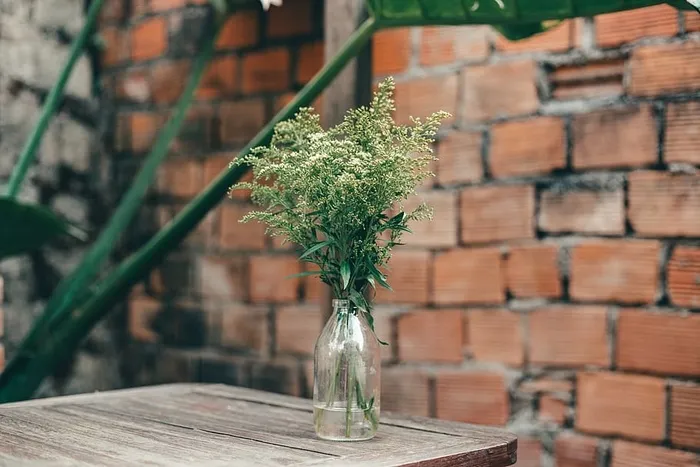 玻璃瓶上的绿色植物