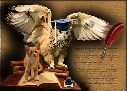 智慧、猫头鹰、鸟、动物、书籍、墨水、猫、文字 智慧、猫头鹰、鸟、动物、书籍、墨水、猫、文字