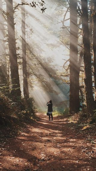 美国, 半月湾, purisima 溪小径, 光线, 太阳光线, 光, 女孩, 人