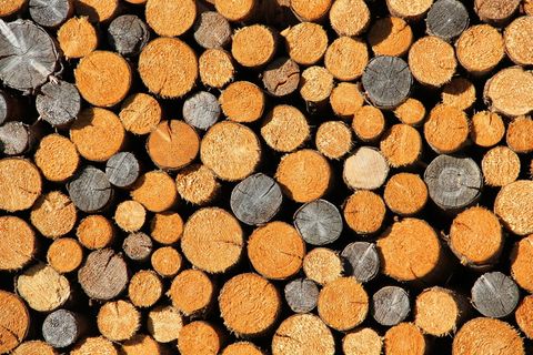 木材，梳子线切割，holzstapel，生长木材，木柴，锯掉的，背景，背景