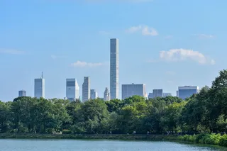 靠近树木的摩天大楼