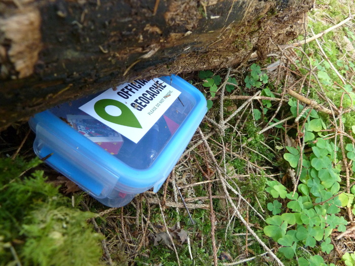geocache, 寻宝, 缓存, 小, 日志, 藏身之处, 搜索, 寻找