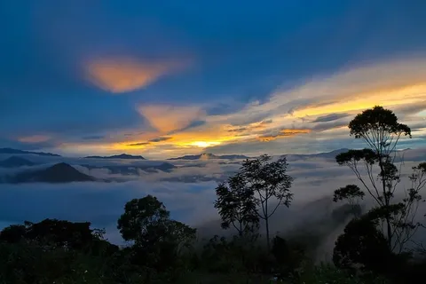 云,雾,雾,山,风景,云海,天空,日出 云,雾,雾,山,风景,云海,天空,日出