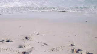 海滩，灰色，粉色，沙子，大海，海岸，夏天，水