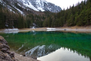grünersee、styria、散步、自然、心情、远离、树木、森林小径