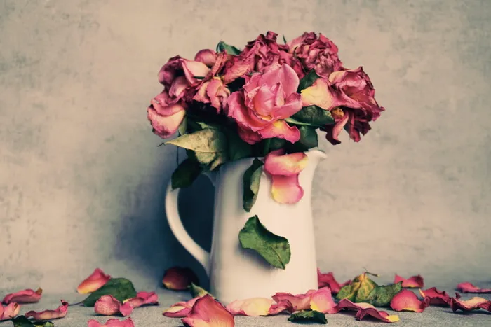 玫瑰，花束，褪色，花朵，玫瑰开花，花朵，干燥，花瓶