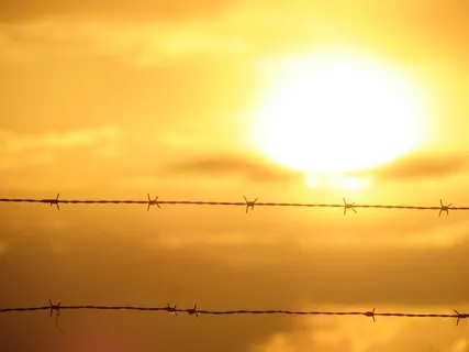 太阳,景观,灯光,栅栏,日落,铁丝网,带刺铁丝网,保护 太阳,景观,灯光,栅栏,日落,铁丝网,带刺铁丝网,保护