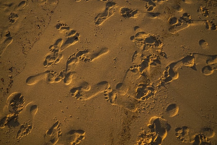 沙滩上的脚印照片