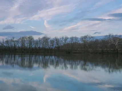 在美国,迪克森,波托马克,蓝色,树木,倒影,天空,河流 在美国,迪克森,波托马克,蓝色,树木,倒影,天空,河流