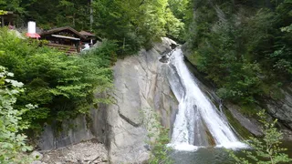 前方的瀑布、allgäu、castle hill、Starzlachklam、滑水梯、小屋、植物、树木