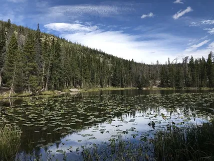 仙女湖,美国,森林,科罗拉多州,埃斯特斯,落基山脉,山脉,树木 仙女湖,美国,森林,科罗拉多州,埃斯特斯,落基山脉,山脉,树木