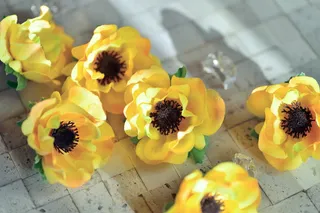 花，植物，鲜艳，花瓣，海葵，黄色，人造花，装饰品