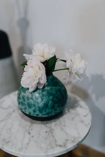 花瓶里的牡丹花 花瓶里的牡丹花
