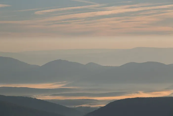 多莉草皮中的日出