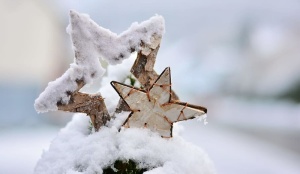 二、雪、盖、星饰、冬天、冬天、星星、一品红