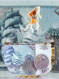 金钱，财富，跳跃，富有的日子，填充，动物，动物主题，脊椎动物