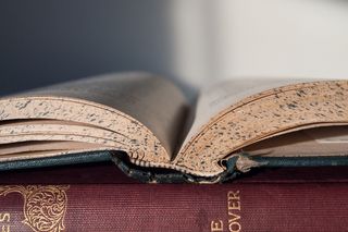 一本打开的书的合影