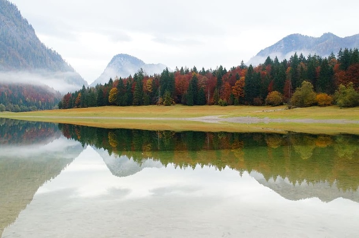 静物、自然、湖、山、倒影、水、树、风景——自然