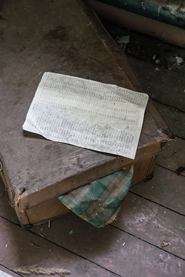 木材，胶合板，家具，桌子，德国，vogelsang，桌面，地板