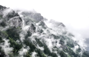 云、雾、雾、山、户外、风景、景观、树木