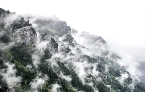 云、雾、雾、山、户外、风景、景观、树木 云、雾、雾、山、户外、风景、景观、树木