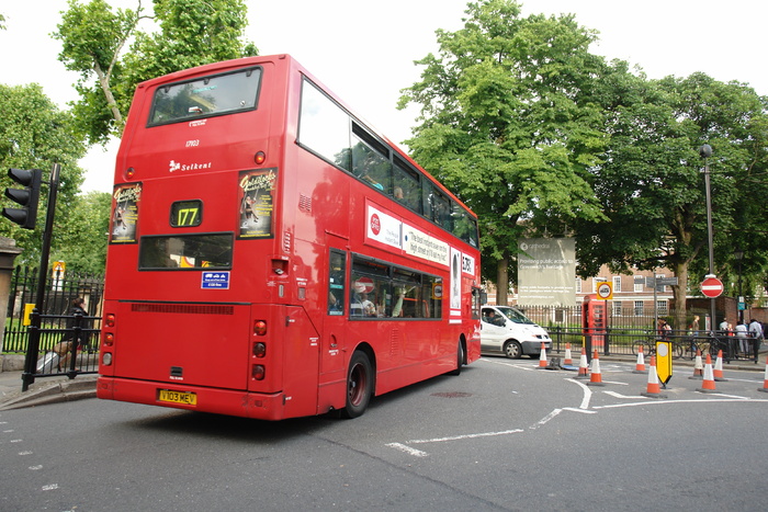 公共汽车、伦敦、英国、树木、陆地车辆、红色、工厂、运输