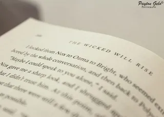 黑白、书写、模糊、商业、管理、书籍、特写、文档