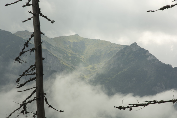 山，掩埋，景观，山，天空，自然之美，山脉，风景-自然