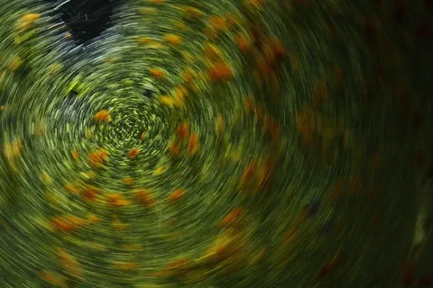 摘要, 背景, 纹理, 美丽, 模式, 详细信息, 宏, 颜色