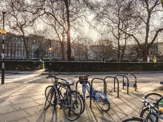 伦敦, 英国, Mayfair, 街道, 广场, 树, 冬天, 自行车