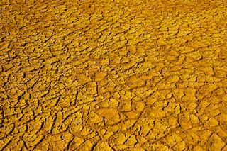 干地板，背景，高角度视野，无人，土地，全框架，黄色，自然