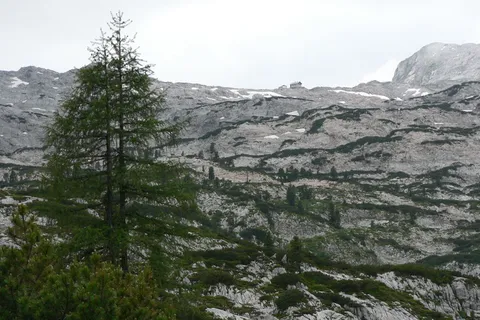 steinernes meer,小屋,山,树,奥地利,石头,山,自然 steinernes meer,小屋,山,树,奥地利,石头,山,自然