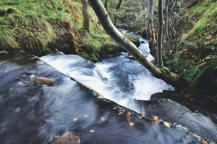 英国、edale、景观、山顶区、自然、长期暴露、水、树