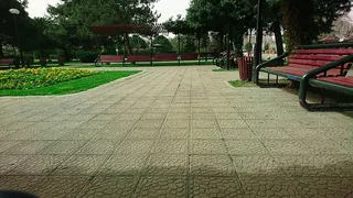 植物，树，公园，白天，人行道，自然，空的，长凳