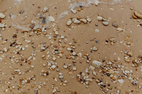 沙滩背景，贝壳和鹅卵石——许多圆形小石头