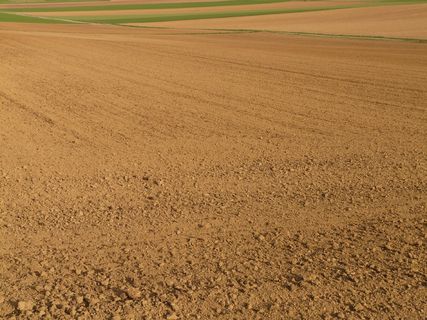 田野，耕地，农业，耕地，农耕，广阔，景观，自然，无限