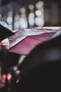 选择性、聚焦摄影、棕色、雨伞、雨、水、冷、天气 选择性、聚焦摄影、棕色、雨伞、雨、水、冷、天气