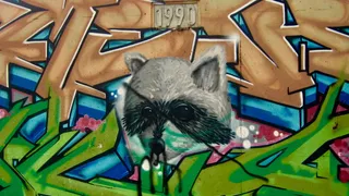 墙，涂鸦，lörrach，悬挂，哈根，艺术，墙，结构