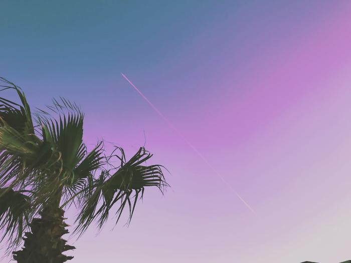 马耳他，wied il-għajn，紫色，树，夏天，蓝色，飞机，天空