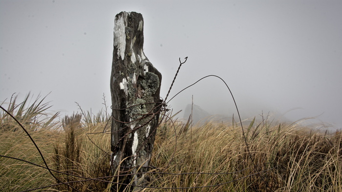 新西兰，阿兰山，银峰路，银峰，讲坛岩，奥塔戈，古老，长满苔藓
