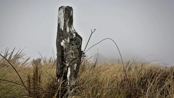 新西兰，阿兰山，银峰路，银峰，讲坛岩，奥塔戈，古老，长满苔藓