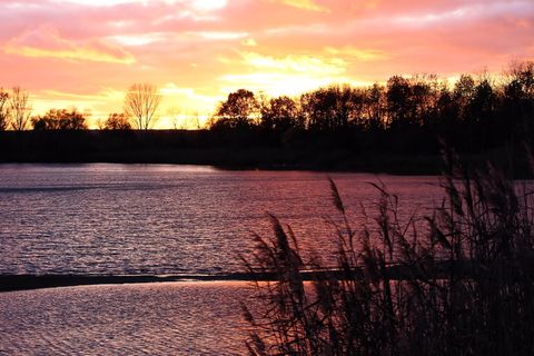 日落，傍晚，天空，树木，晚霞，夜空，小夜幕，abendstimmung