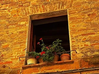 意大利民粹主义、geranios、老城、托斯卡纳、窗户、假日、巴拉蒂