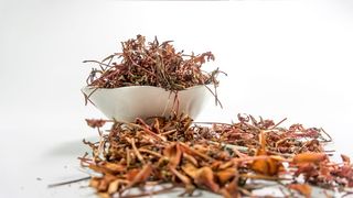 棕色, 叶子, 白色, 陶瓷, 碗, 丛林, 茜草科, 鲜花