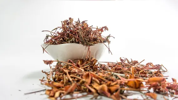 棕色, 叶子, 白色, 陶瓷, 碗, 丛林, 茜草科, 鲜花 棕色, 叶子, 白色, 陶瓷, 碗, 丛林, 茜草科, 鲜花