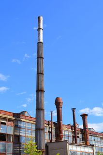 植物、陈旧、毁坏、退化、覆盖、篮子、金属、锈病